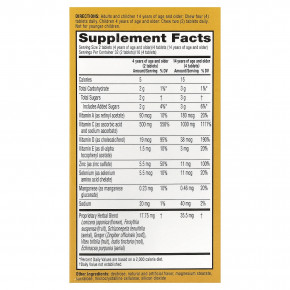 AirBorne, поддержка иммунитета, с цитрусовыми, 64 жевательные таблетки в Москве - eco-herb.ru | фото