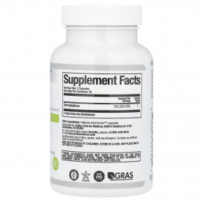 Arthur Andrew Medical, Serretia®, чистая серрапептаза, 90 капсул (125 000 SPU в 1 капсуле) в Москве - eco-herb.ru | изображение Arthur Andrew Medical, Serretia®, чистая серрапептаза, 90 капсул (125 000 SPU в 1 капсуле) в Москве - eco-herb.ru | фото