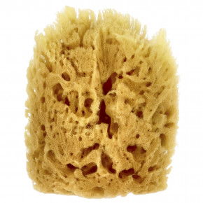 Baby Buddy, Натуральная губка для ванн с желтым морем, от 0 месяцев, 1 губка в Москве - eco-herb.ru | фото