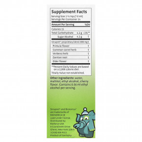 Bionorica, Sinupret®, сироп для детей, 100 мл (3,38 жидк. унции) в Москве - eco-herb.ru | изображение Bionorica, Sinupret®, сироп для детей, 100 мл (3,38 жидк. унции) в Москве - eco-herb.ru | фото