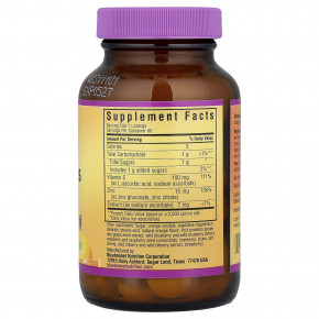 Bluebonnet Nutrition, EarthSweet®, жевательные таблетки с цинком, апельсин, 60 пастилок в Москве - eco-herb.ru | фото