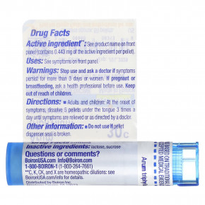 Boiron, Arum triphyllum, 30C, для облегчения боли в горле, прибл. 80 гранул в Москве - eco-herb.ru | фото