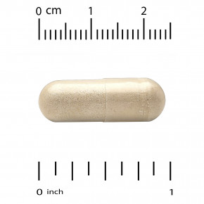 California Gold Nutrition, бенфотиамин, альфа-липоевая кислота и L-лейцин, 90 растительных капсул в Москве - eco-herb.ru | изображение California Gold Nutrition, бенфотиамин, альфа-липоевая кислота и L-лейцин, 90 растительных капсул в Москве - eco-herb.ru | фото