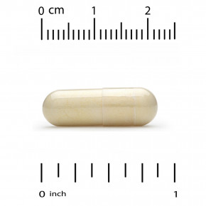 California Gold Nutrition, бенфотиамин с L-лейцином, 150 мг, 90 растительных капсул в Москве - eco-herb.ru | фото