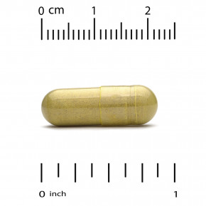 California Gold Nutrition, Berberine Advanced, фитосома Berbevis с фосфолипидным комплексом берберина и подсолнечным лецитином, 550 мг, 60 растительных капсул в Москве - eco-herb.ru | фото