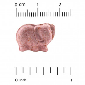 California Gold Nutrition, детская жевательная добавка для укрепления иммунитета с витаминами A, C, E и цинком, с натуральным вкусом тропических ягод, 90 вегетарианских таблеток в Москве - eco-herb.ru | фото