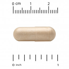 California Gold Nutrition, EuroHerbs™, экстракт гинкго билоба, качество Euromed, 120 мг, 60 растительных капсул в Москве - eco-herb.ru | фото