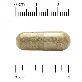 California Gold Nutrition, EuroHerbs™, экстракт мелиссы лекарственной, качество Euromed, 500 мг, 60 растительных капсул в Москве - eco-herb.ru | фото