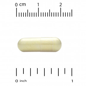 California Gold Nutrition, физетин, 100 мг, 90 растительных капсул в Москве - eco-herb.ru | фото