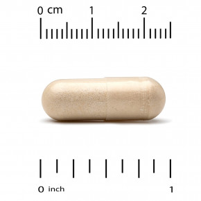 California Gold Nutrition, Fungiology, MushRex Plus, Immune Assist™ Micron, комплекс грибов полного спектра, сертифицированный органический продукт, 120 растительных капсул в Москве - eco-herb.ru | фото