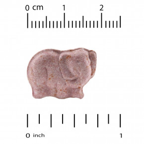 California Gold Nutrition, жевательные мультивитамины с пробиотиками, ферментами, витаминами A и C для детей, фруктовое ассорти, 60 вегетарианских таблеток в Москве - eco-herb.ru | фото