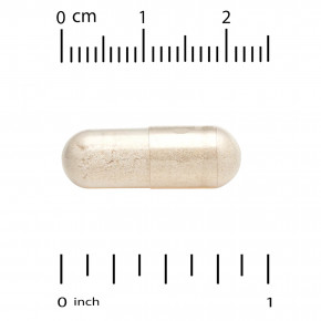 California Gold Nutrition, гуперзин А, 250 мкг, 30 растительных капсул (Товар снят с продажи) в Москве - eco-herb.ru | фото