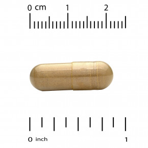 California Gold Nutrition, комплекс с силимарином с экстрактом расторопши, а также одуванчиком, артишоком, имбирем и BioPerine®, 360 растительных капсул в Москве - eco-herb.ru | фото