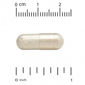 California Gold Nutrition, LactoBif® 100, пробиотики, 100 млрд КОЕ, 60 растительных капсул в Москве - eco-herb.ru | фото