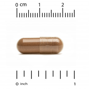 California Gold Nutrition, Longevity Boost с транс-ресвератролом, экстрактом листьев оливкового дерева, смесью экстрактов винограда и среднецепочечными триглицеридами, 60 растительных капсул в Москве - eco-herb.ru | фото