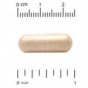 California Gold Nutrition, MEM Boost™, добавка для поддержки памяти и когнитивных функций с альфа-ГФХ, экстрактом ежовика гребенчатого, экстрактом кофейных плодов и фосфатидилсерином, 60 растительных капсул в Москве - eco-herb.ru | фото