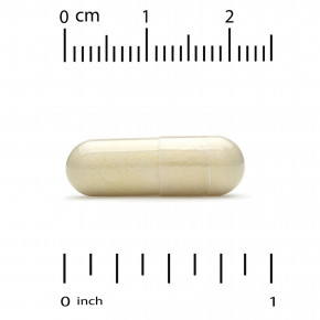 California Gold Nutrition, новозеландские зелёные мидии с экстрактом имбиря, 500 мг, 240 растительных капсул в Москве - eco-herb.ru | фото