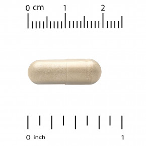 California Gold Nutrition, органический гриб трутовик разноцветный, 60 растительных капсул (0,5 г в 1 капсуле) в Москве - eco-herb.ru | фото