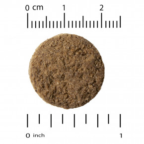 California Gold Nutrition, Pet, добавка 4 в 1 для собак, 120 жевательных таблеток, 480 г (16,93 унции) в Москве - eco-herb.ru | фото