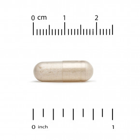 California Gold Nutrition, пищеварительные ферменты с запатентованной смесью ферментов, ProHydrolase® и смесью амилазы, 90 вегетарианских капсул в Москве - eco-herb.ru | фото