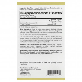 California Gold Nutrition, пробиотики для поддержки пищеварения, смесь пробиотиков и пребиотиков с лактобактериями рамнозус GG, 20 млрд КОЕ, 30 растительных капсул в Москве - eco-herb.ru | фото