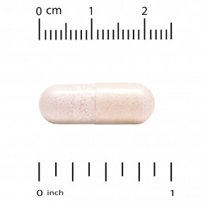 California Gold Nutrition, пробиотики с ацидофильными лактобактериями, бифидобактериями лактис, лактобактериями плантарум и лактобактериями казеи, смесь из 10 штаммов, 25 млрд КОЕ, 60 вегетарианских капсул в Москве - eco-herb.ru | фото