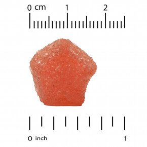 California Gold Nutrition, прополис и эхинацея для детей, без желатина, натуральный малиновый вкус, 60 вегетарианских жевательных таблеток (Товар снят с продажи) в Москве - eco-herb.ru | изображение California Gold Nutrition, прополис и эхинацея для детей, без желатина, натуральный малиновый вкус, 60 вегетарианских жевательных таблеток (Товар снят с продажи) в Москве - eco-herb.ru | фото