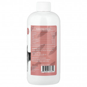 Chew + Heal, формула с жиром дикого аляскинского лосося, для собак, 475 мл (16 жидк. унций) в Москве - eco-herb.ru | изображение Chew + Heal, формула с жиром дикого аляскинского лосося, для собак, 475 мл (16 жидк. унций) в Москве - eco-herb.ru | фото