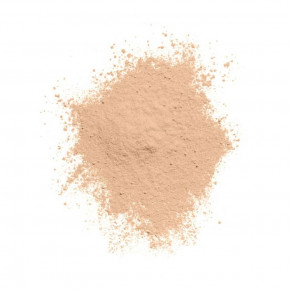 Covergirl, Clean Invisive, рассыпчатая пудра, оттенок 110 полупрозрачный светлый, 18 г (0,63 унции) в Москве - eco-herb.ru | фото