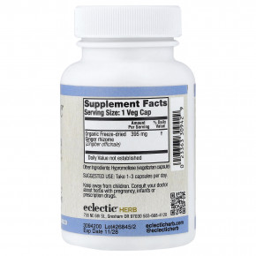 Eclectic Herb, имбирь, 395 мг, 90 вегетарианских капсул в Москве - eco-herb.ru | фото