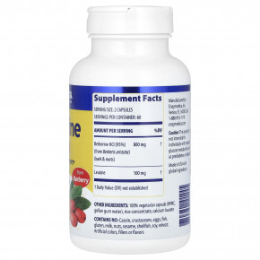 Enzymedica, Берберин, 800 мг, 120 капсул (400 мг на капсулу) (Товар снят с продажи) в Москве - eco-herb.ru | фото