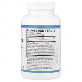 EuroMedica, Curaphen®, 120 капсул в Москве - eco-herb.ru | фото