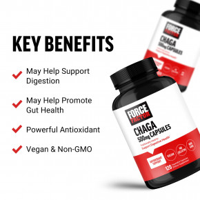 Force Factor, чага, 500 мг, 120 растительных капсул (Товар снят с продажи) в Москве - eco-herb.ru | фото