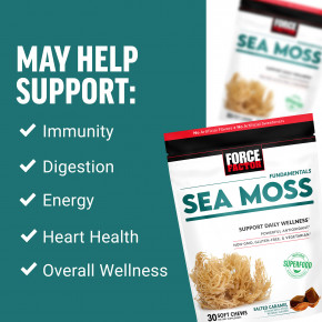 Force Factor, Fundamentals, морской мох, вкус соленой карамели, 30 жевательных таблеток (250 мг в 1 жевательной таблетке) в Москве - eco-herb.ru | фото