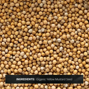 Frontier Co-op, Органические цельные семена желтой горчицы, 453 г (16 унций) в Москве - eco-herb.ru | фото