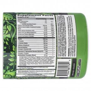 G FUEL, Energy Formula, The Juice, апельсин, ананас и дыня, 280 г (9,9 унции) в Москве - eco-herb.ru | изображение G FUEL, Energy Formula, The Juice, апельсин, ананас и дыня, 280 г (9,9 унции) в Москве - eco-herb.ru | фото