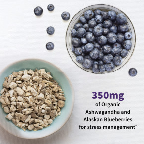 Garden of Life, Dr. Formulated Probiotics, пробиотики для улучшения настроения, 60 вегетарианских капсул в Москве - eco-herb.ru | фото