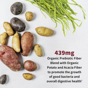 Garden of Life, Dr. Formulated Probiotics, Urinary Tract+, 60 вегетарианских капсул в Москве - eco-herb.ru | фото