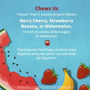 Garden of Life, Dr. Formulated Probiotics, органические жевательные таблетки для детей с пробиотиками и витаминами C и D, вкусный органический арбуз, 30 вкусных жевательных таблеток в Москве - eco-herb.ru | фото