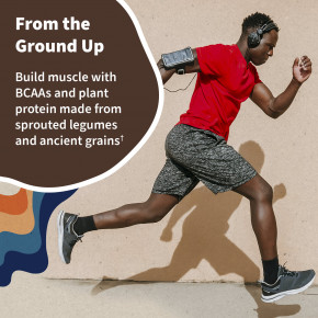 Garden of Life, необработанный органический протеин, со вкусом шоколада, 700 г (1 фунт, 8,69 унции) в Москве - eco-herb.ru | фото