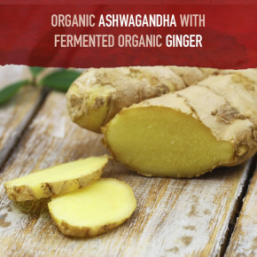 Garden of Life, Organics, ашваганда, 60 веганских таблеток (600 мг в 1 таблетке) в Москве - eco-herb.ru | фото