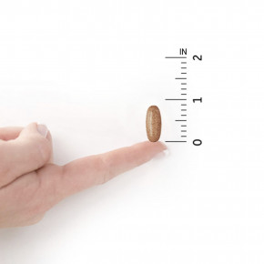 Garden of Life, Organics, для женщин, для приема один раз в день, 60 веганских таблеток в Москве - eco-herb.ru | изображение Garden of Life, Organics, для женщин, для приема один раз в день, 60 веганских таблеток в Москве - eco-herb.ru | фото