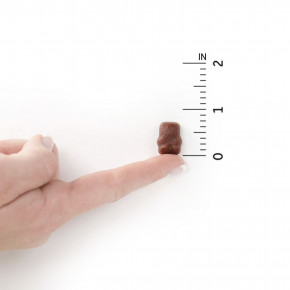 Garden of Life, Organics, мультивитаминные жевательные таблетки для детей, органические фрукты и витамины, вкус фруктов, 120 веганских жевательных мишек в Москве - eco-herb.ru | фото