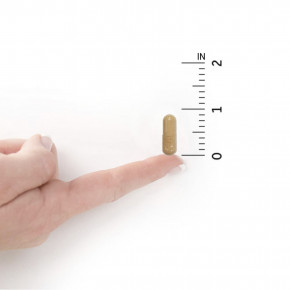 Garden of Life, RAW Probiotics, для женщин от 50 лет, 90 вегетарианских капсул в Москве - eco-herb.ru | фото