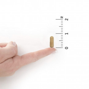 Garden of Life, Vitamin Code, необработанное железо, 30 веганских капсул в Москве - eco-herb.ru | фото