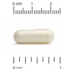 HealthyBiom, лактобактерии реутери (Lactobacillus reuteri LRC) с витамином D, 5 млрд КОЕ, 90 растительных капсул в Москве - eco-herb.ru | фото