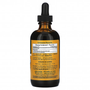 Herb Pharm, эхинацея, без спирта, 120 мл в Москве - eco-herb.ru | фото