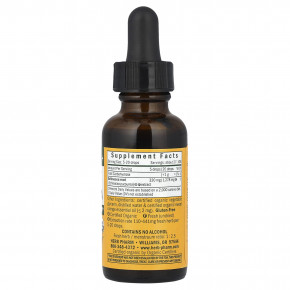 Herb Pharm, эхинацея для детей, без спирта, с апельсиновым вкусом, 30 мл в Москве - eco-herb.ru | фото