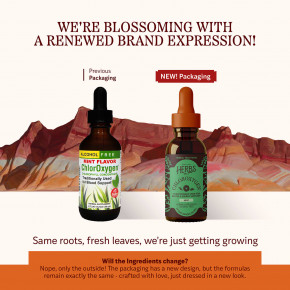 Herbs Etc., ChlorOxygen®, без спирта, с мятным вкусом, 59 мл (2 жидк. унции) в Москве - eco-herb.ru | фото