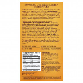 Herbs Etc., ChlorOxygen®, концентрат хлорофилла, без спирта, 30 мл (1 жидк. унция) в Москве - eco-herb.ru | фото